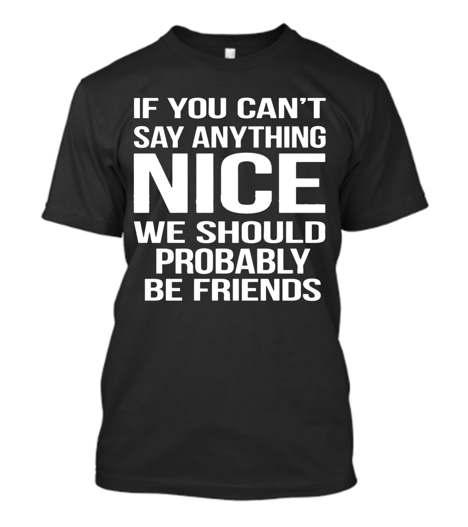 If You Can't Say Anything Nice We Should Probably Be Friends T-Shirt