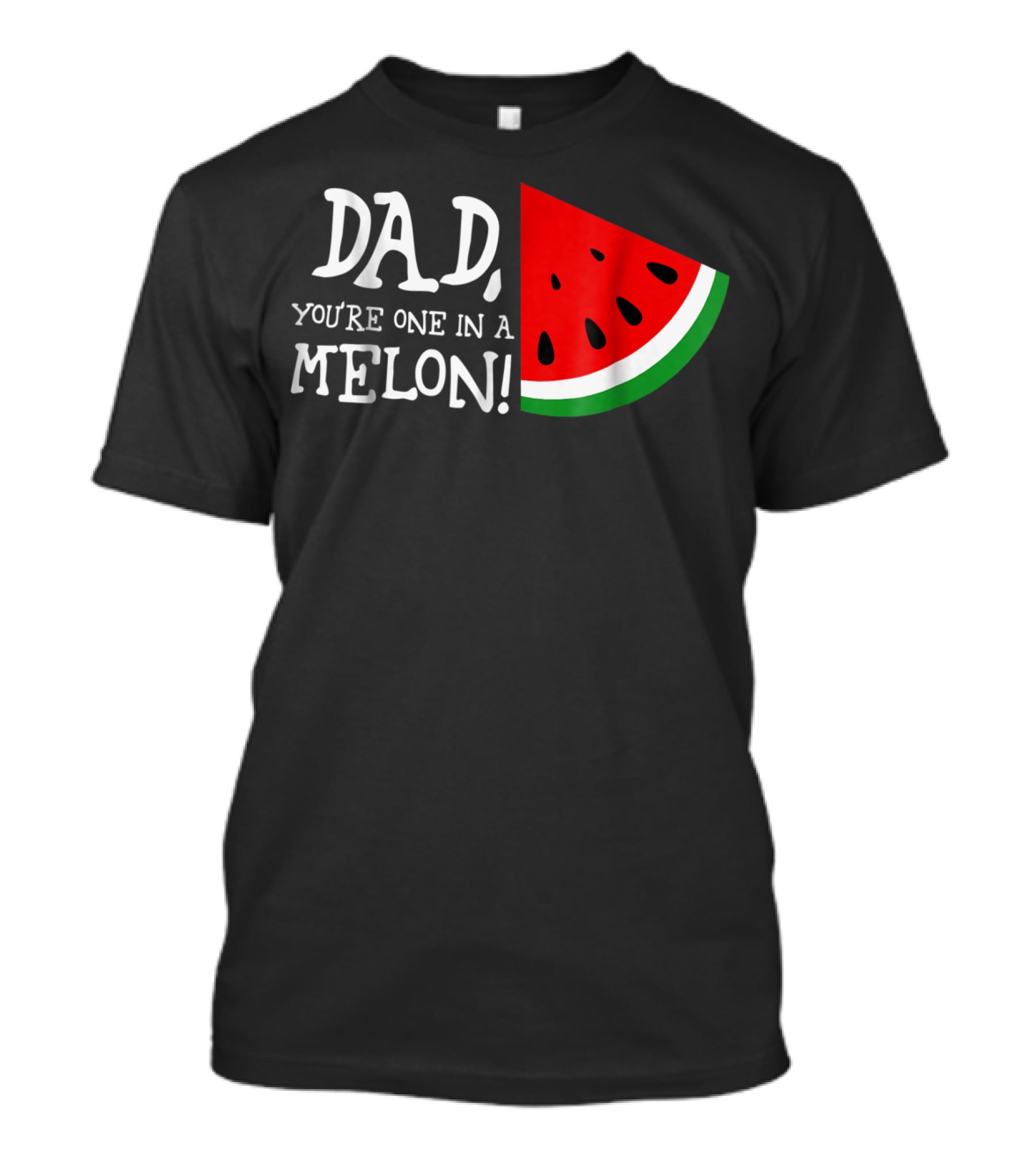 Dad You're One In A Melon Summer Tropical Fruit Watermelon Slice T-Shirt