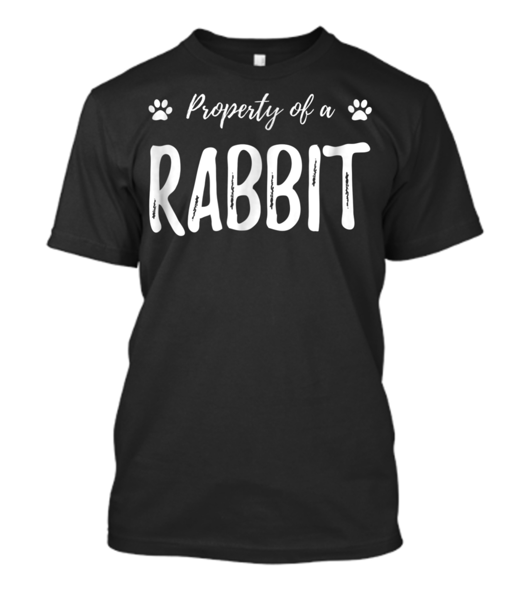 Property Of A Rabbit Funny Rabbit Lover Bunny Mom T-Shirt