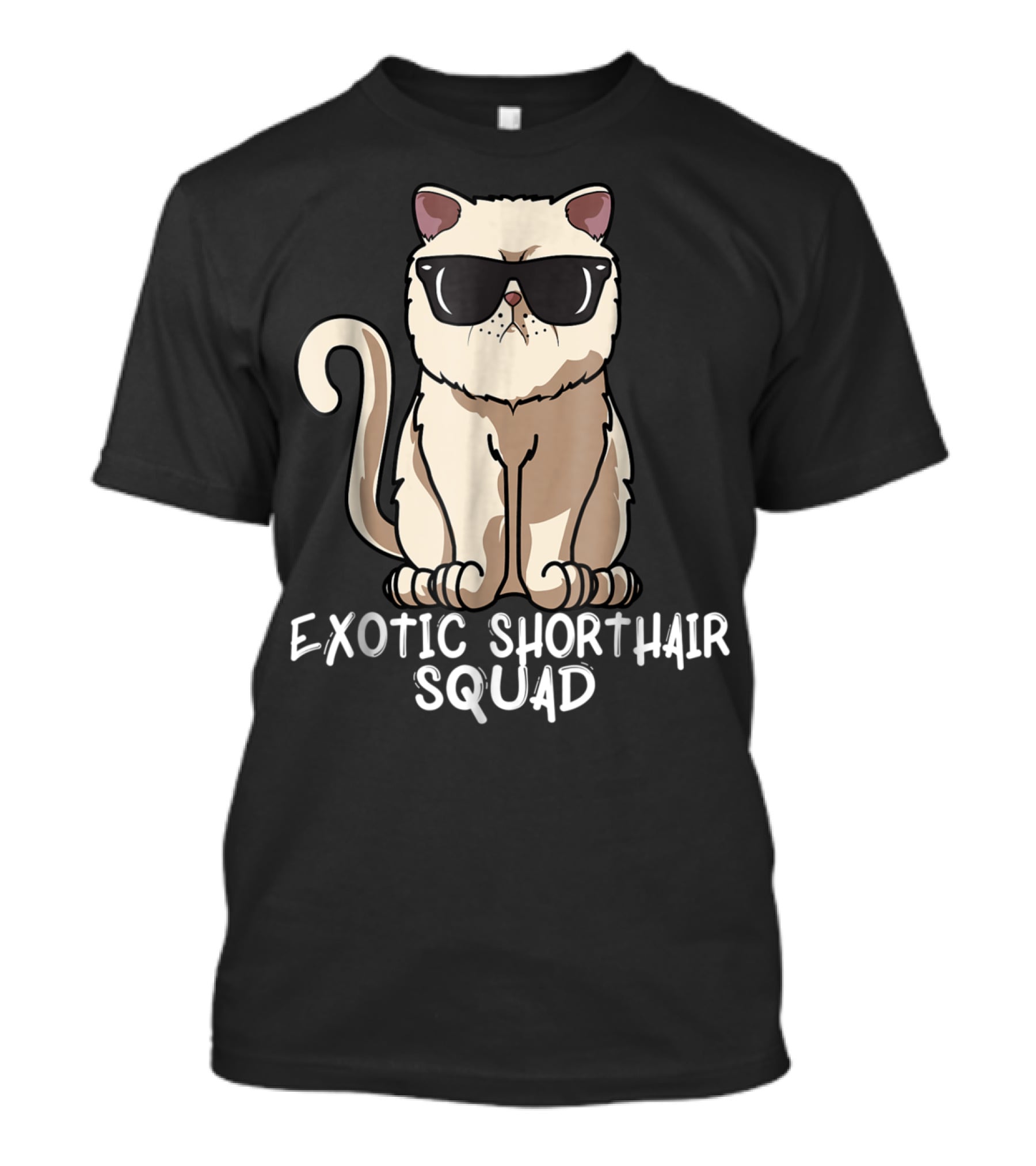 Exotic Shorthair Squad Cat Mom 90s T-Shirt