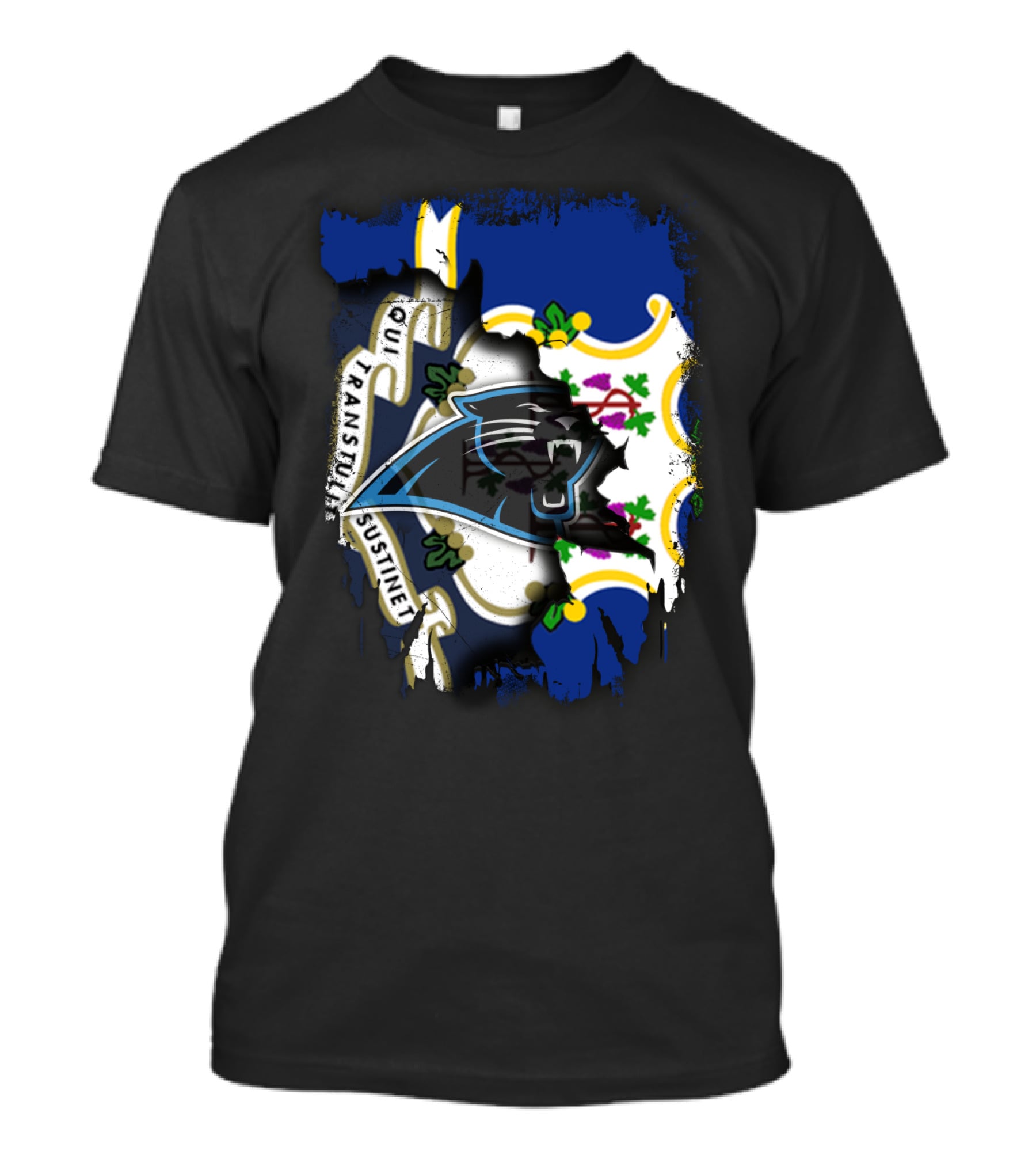 Connecticut Flag With Panthers Logo Integration T-Shirt