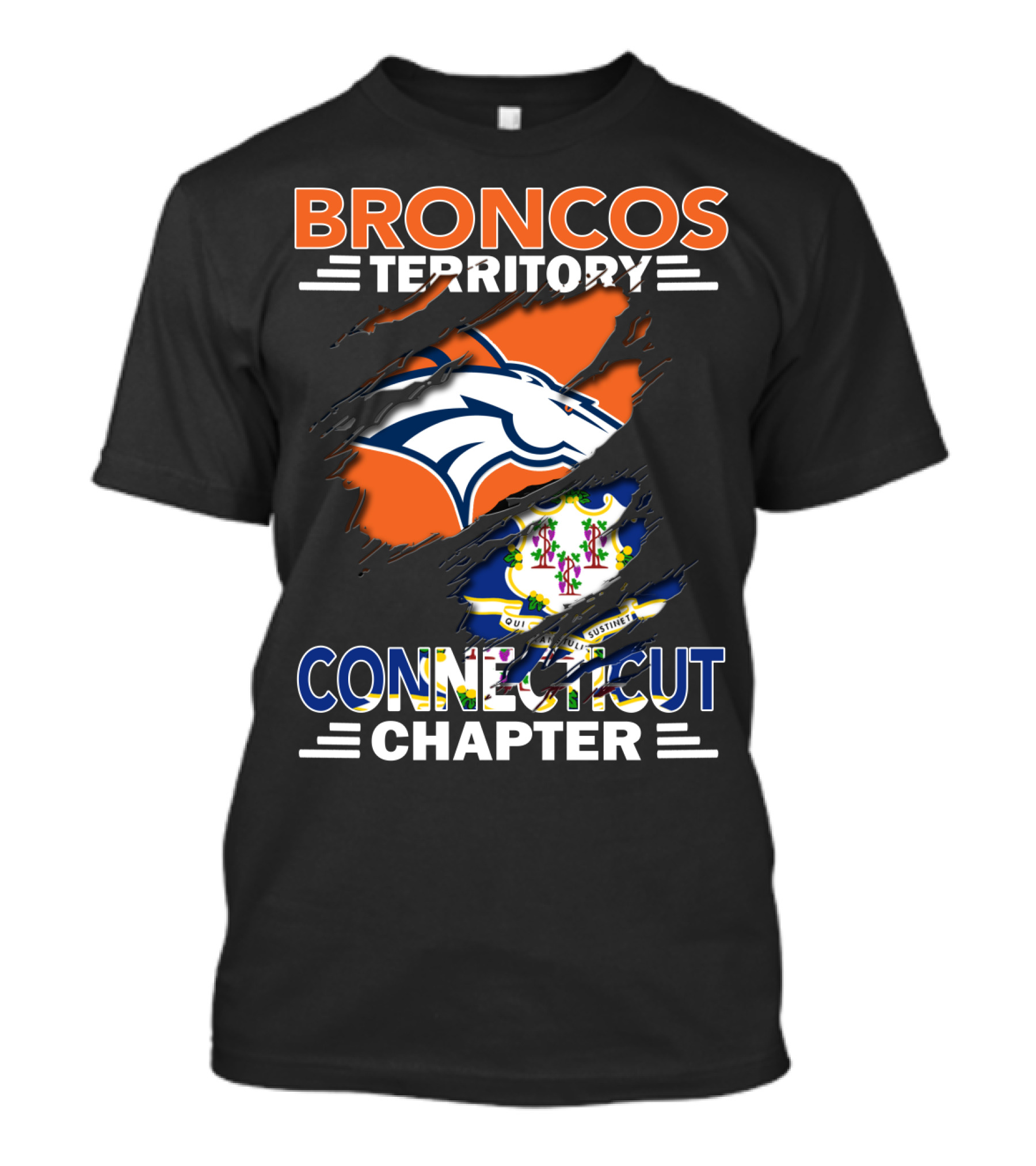 Broncos Territory Connecticut Chapter With Horse Logo And State Flag Elements T-Shirt