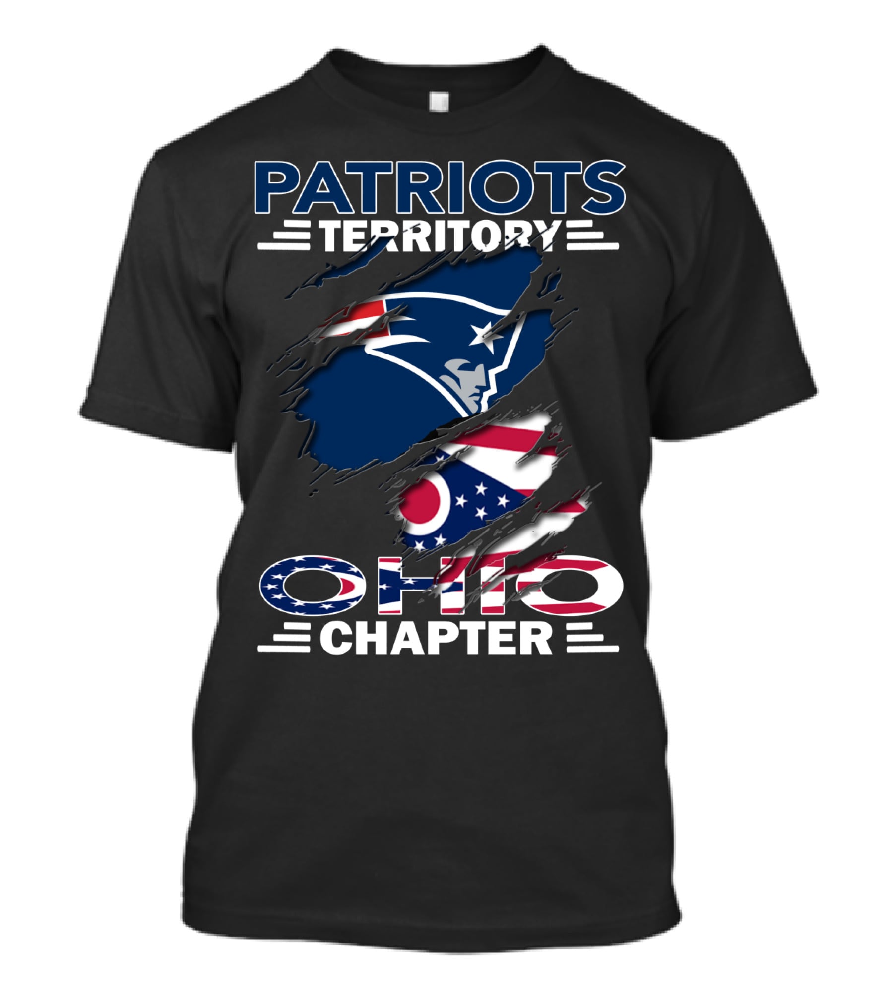 Patriots Territory Ohio Chapter Logo With American And Ohio Flag Elements T-Shirt