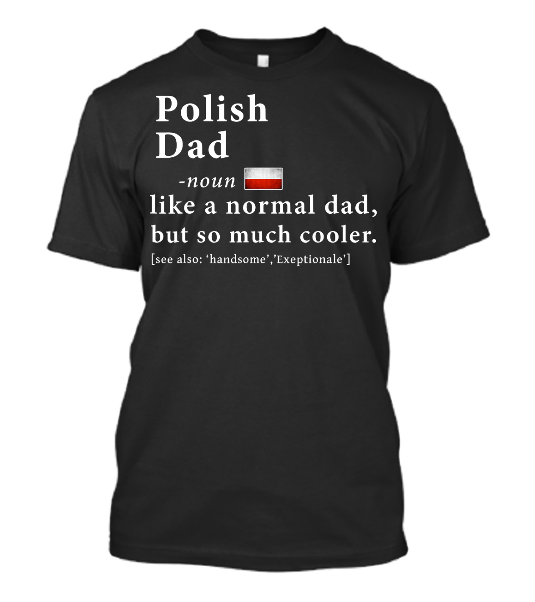 Polish Dad Noun Like A Normal Dad But So Much Cooler Handsome Exceptionale Polish Flag T-Shirt