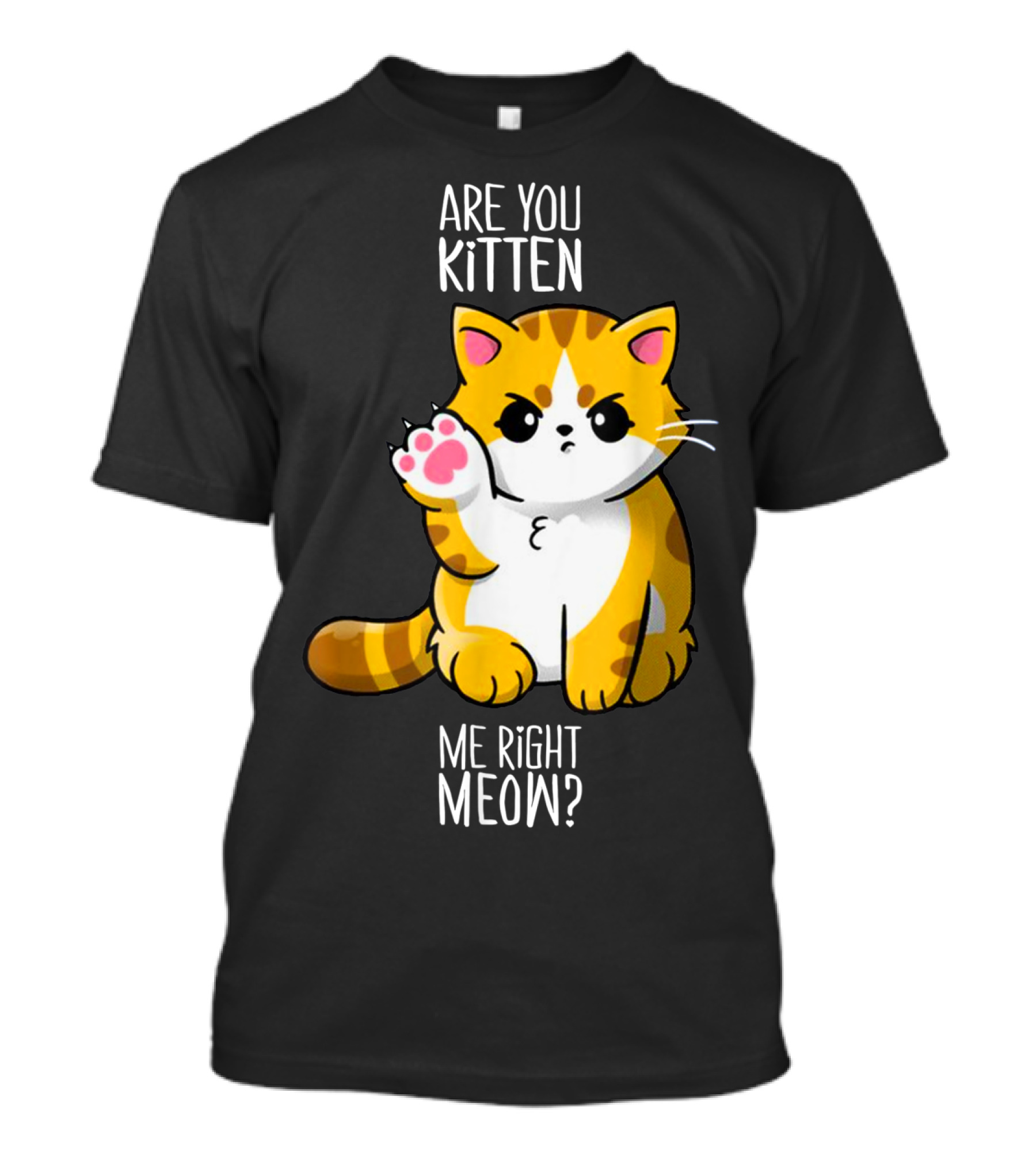 Are You Kitten Me Right Meow Cute Kitty T-Shirt