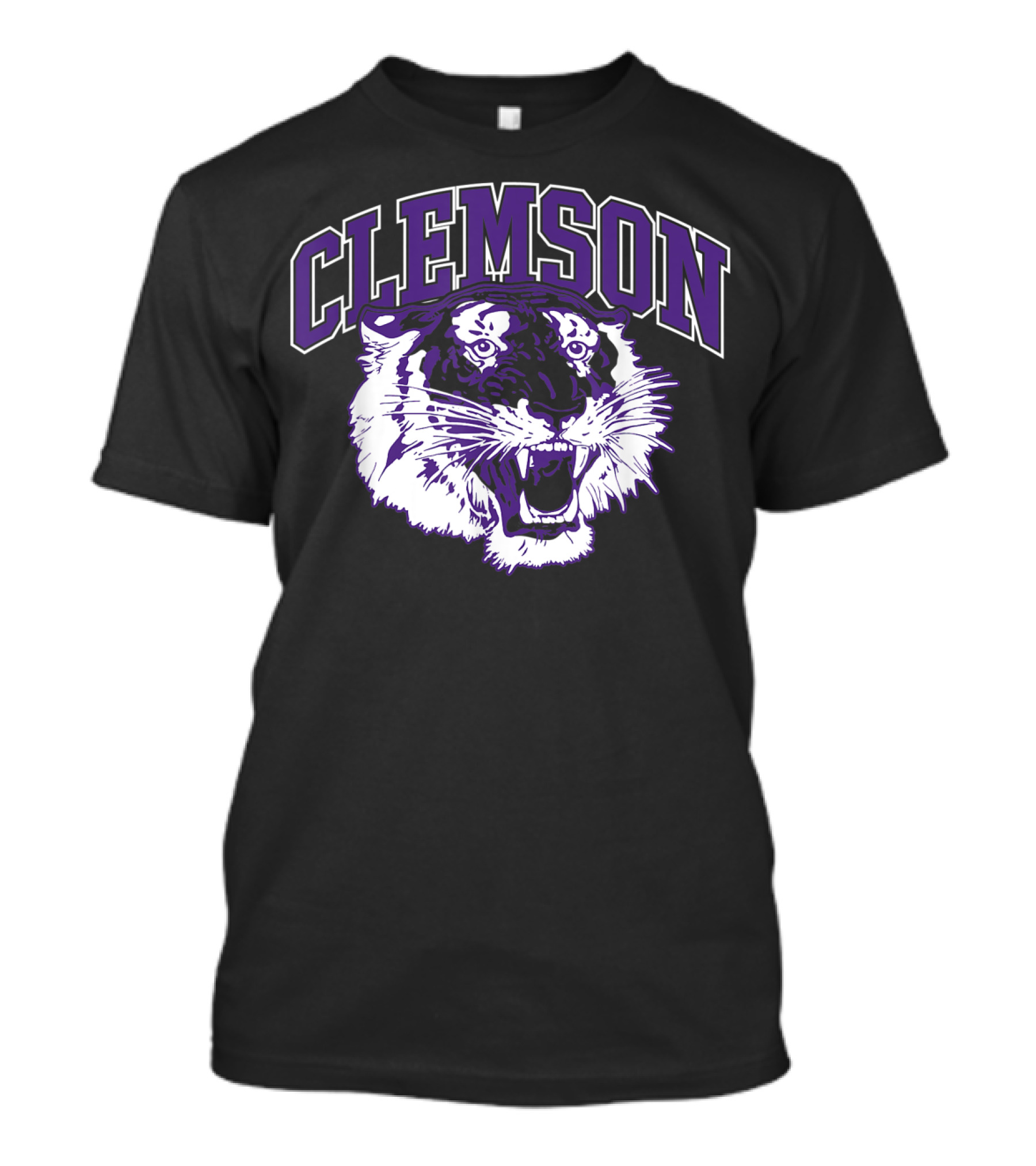 Clemson Tiger Vintage South Carolina Sports T-Shirt