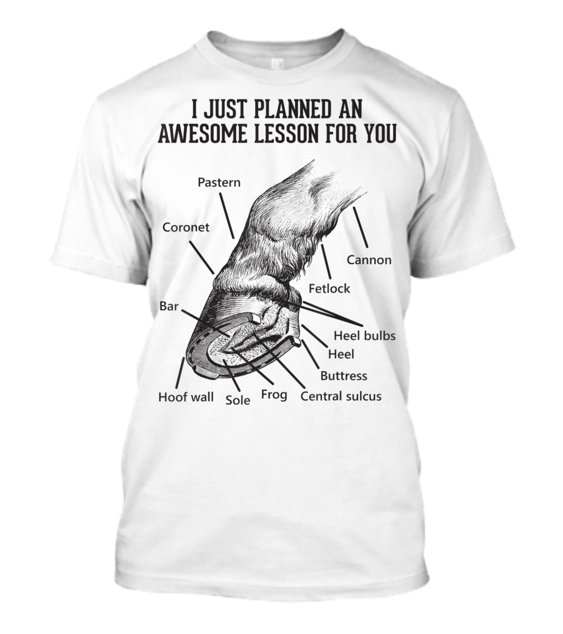 I Just Planned An Awesome Lesson For You Hoof Anatomy Funny Equestrians T-Shirt