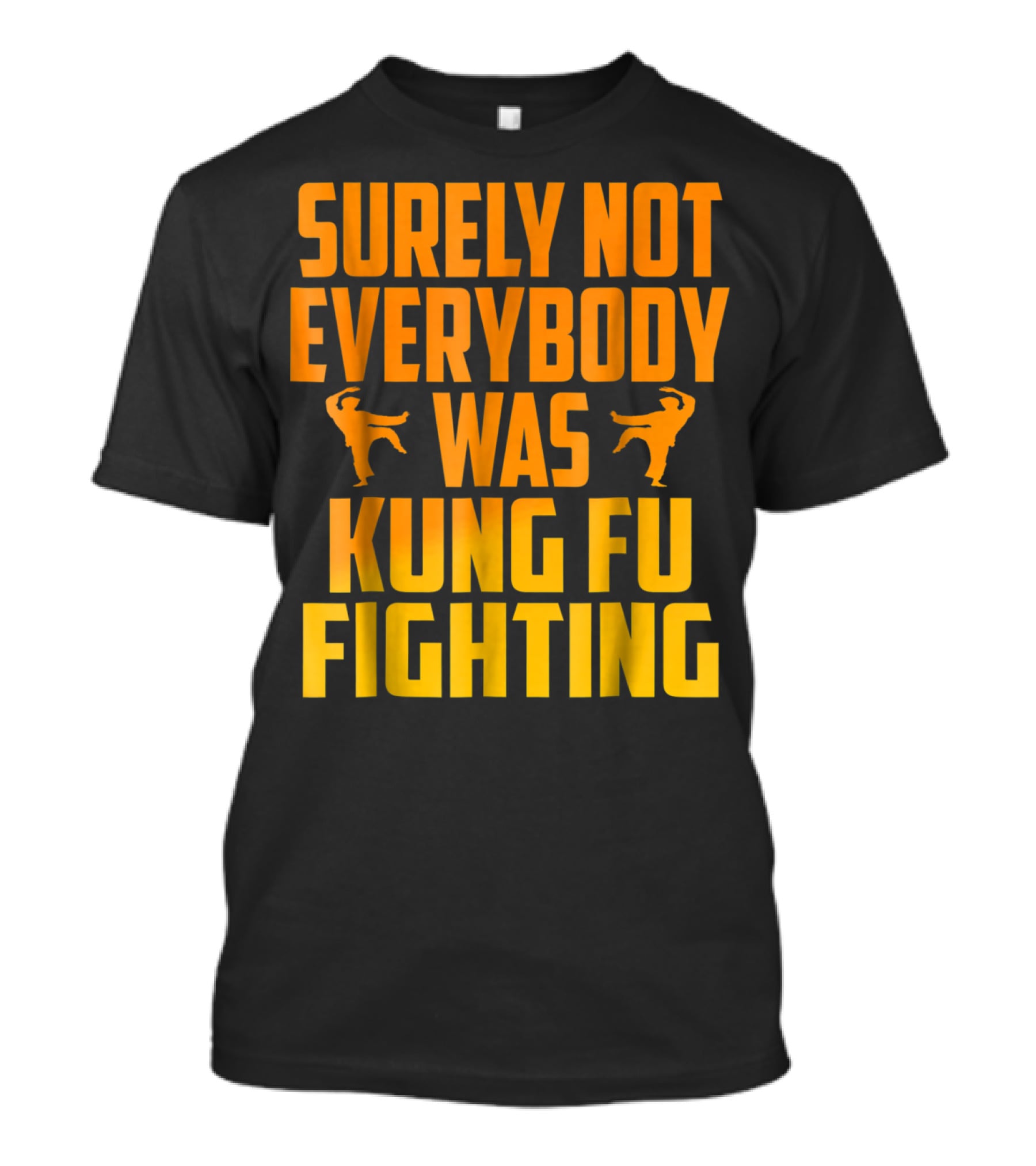 Surely Not Everybody Was Kung Fu Fighting Retro Kung Fu Pose T-Shirt