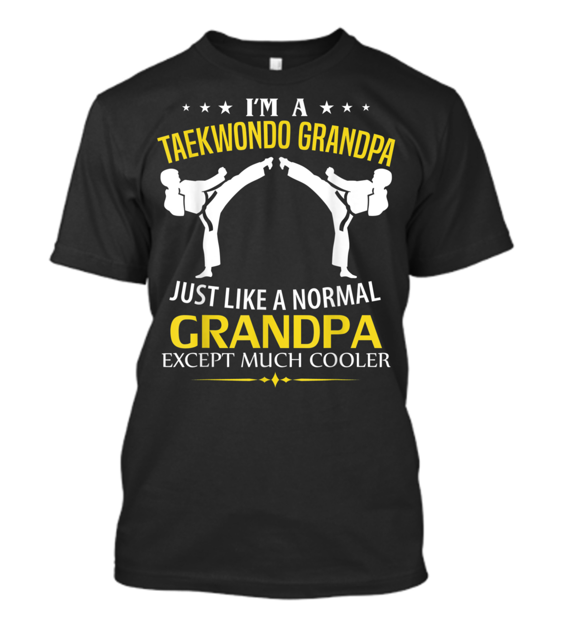 I'm A Taekwondo Grandpa Just Like A Normal Grandpa Except Much Cooler T-Shirt