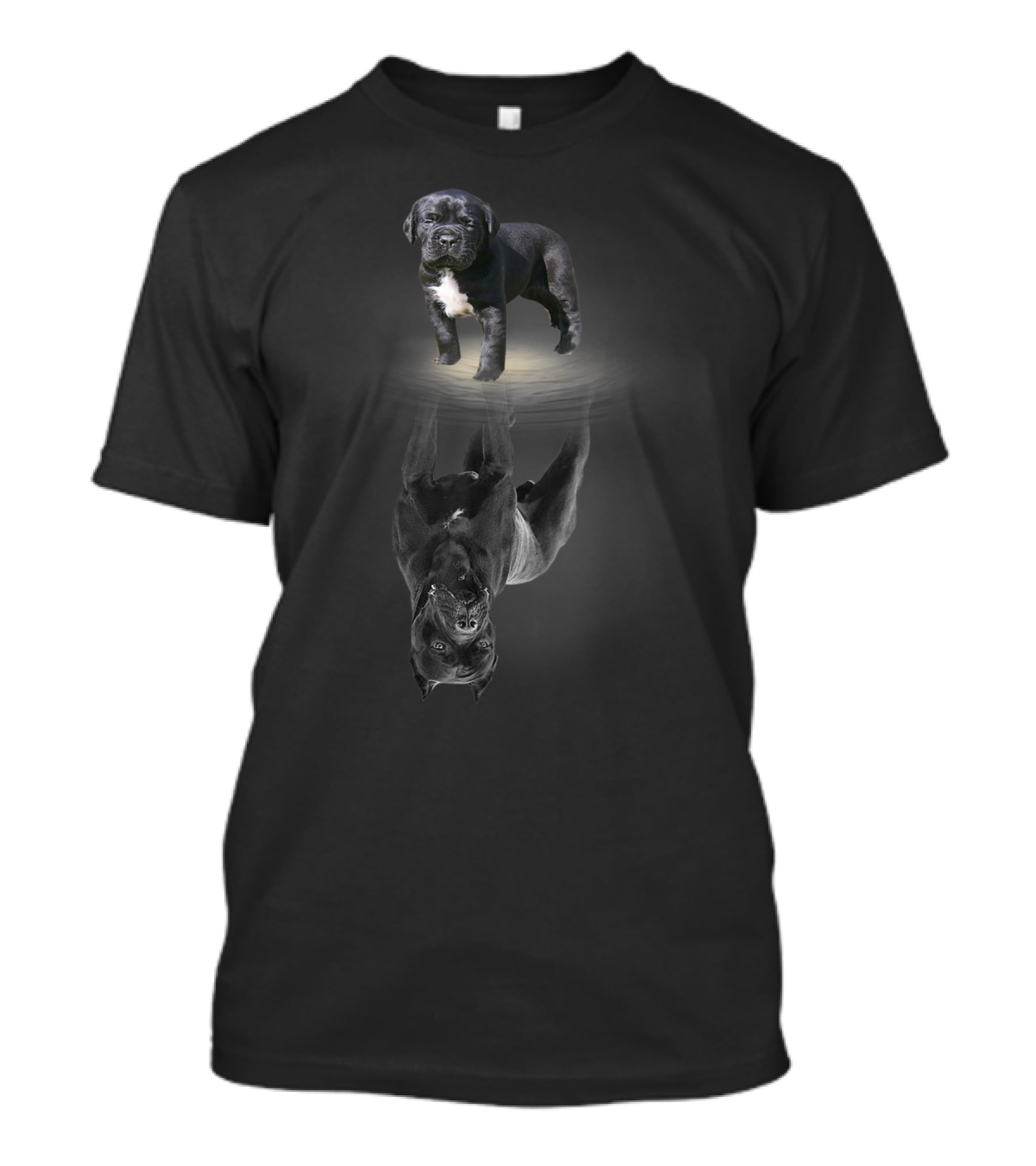 Cane Corso Dog Lovers Cane Corso Mastiff Reflection T-Shirt