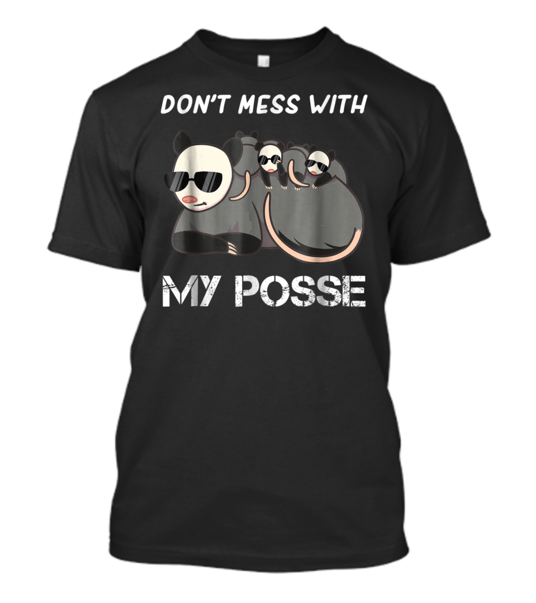 Don't Mess With My Posse Opossum Pun Funny My Posse T-Shirt