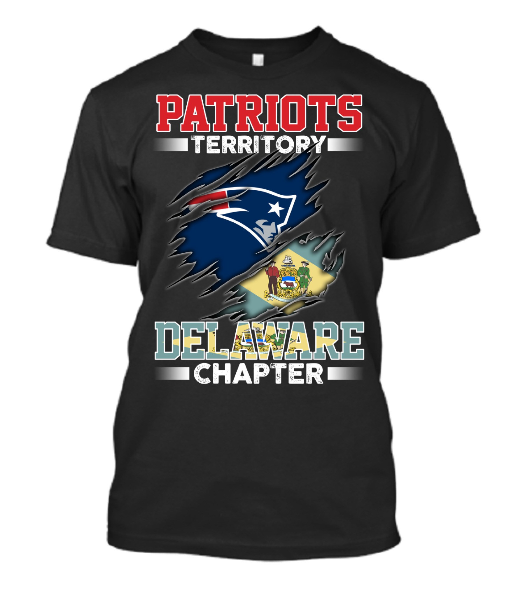 PATRIOTS TERRITORY DELAWARE CHAPTER T-Shirt