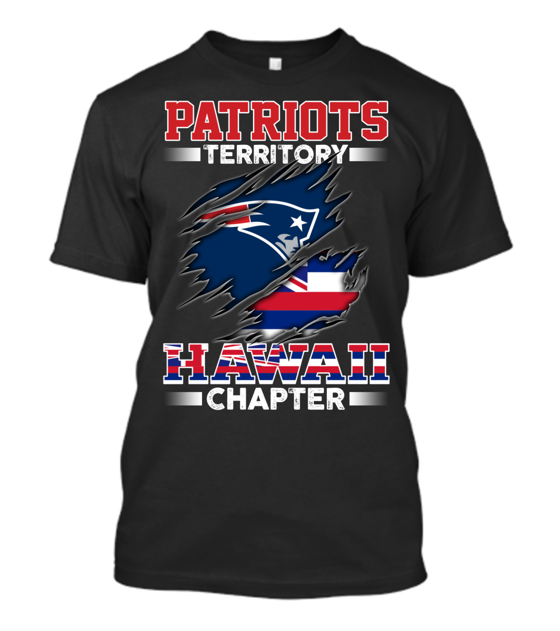 PATRIOTS TERRITORY HAWAII CHAPTER T-Shirt