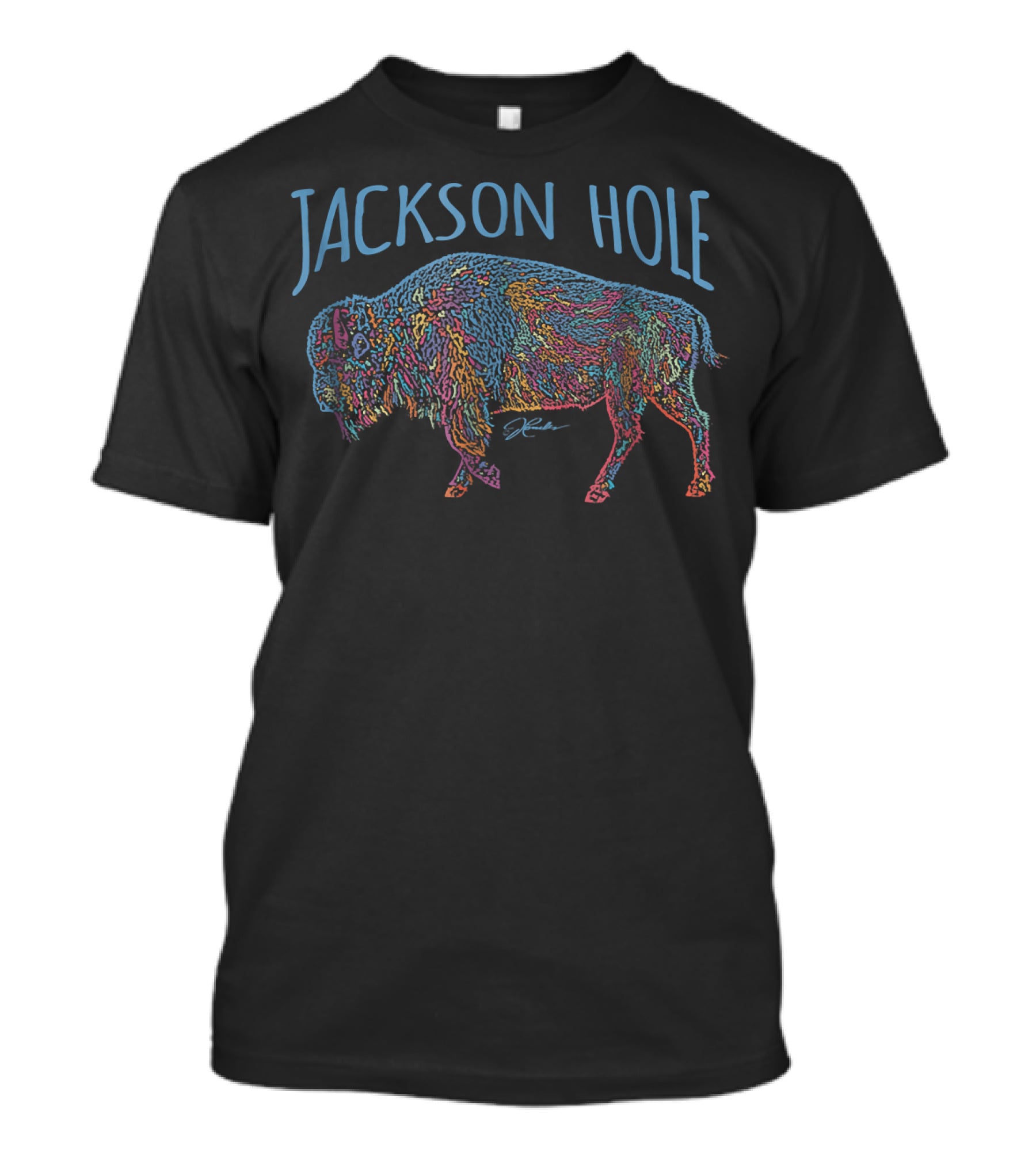 Jackson Hole Wyoming Colorful American Bison JCombs T-Shirt