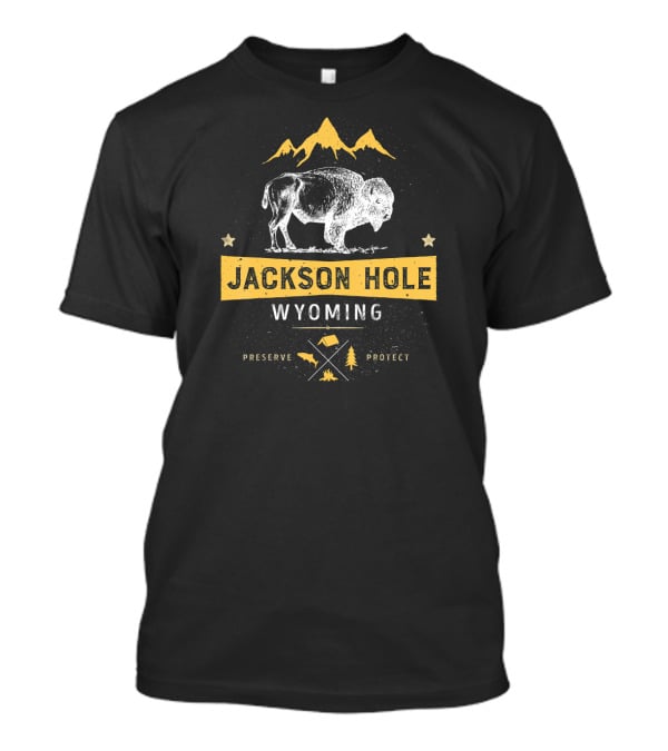 Jackson Hole Wyoming Vintage Bison Preserve Protect Mountain Elements T-Shirt