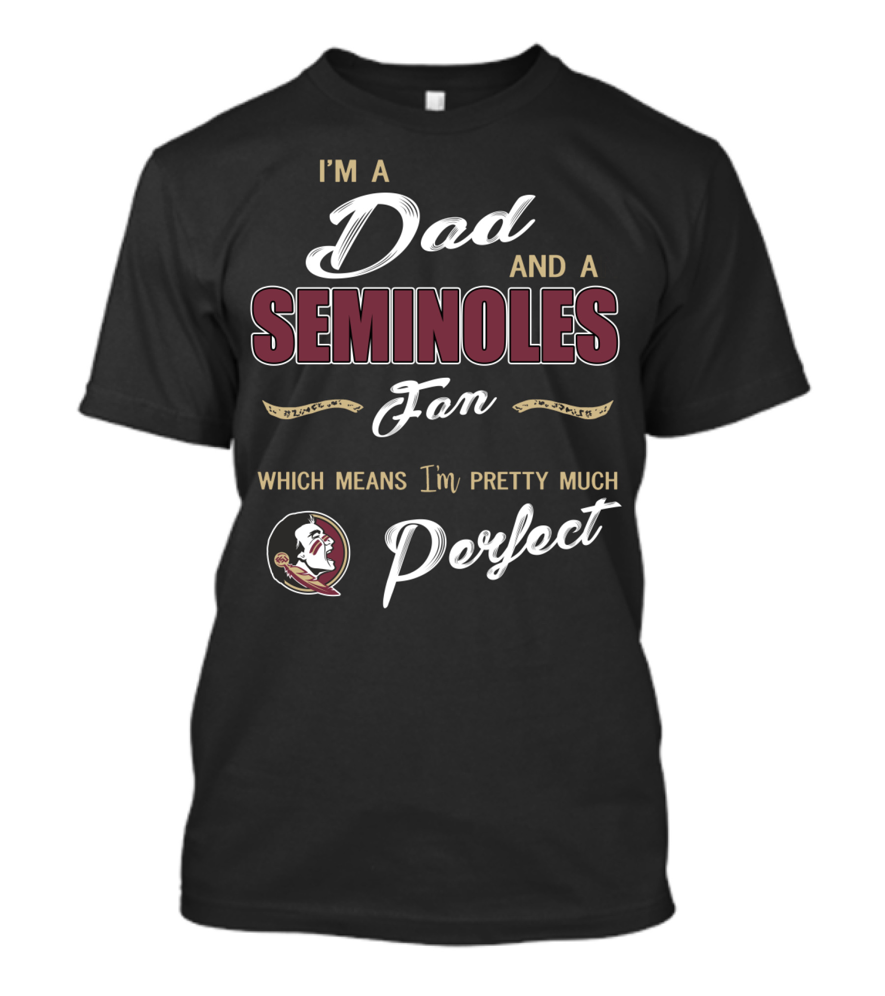 I'm A Dad And A Seminoles Fan Which Means I'm Pretty Much Perfect T-Shirt