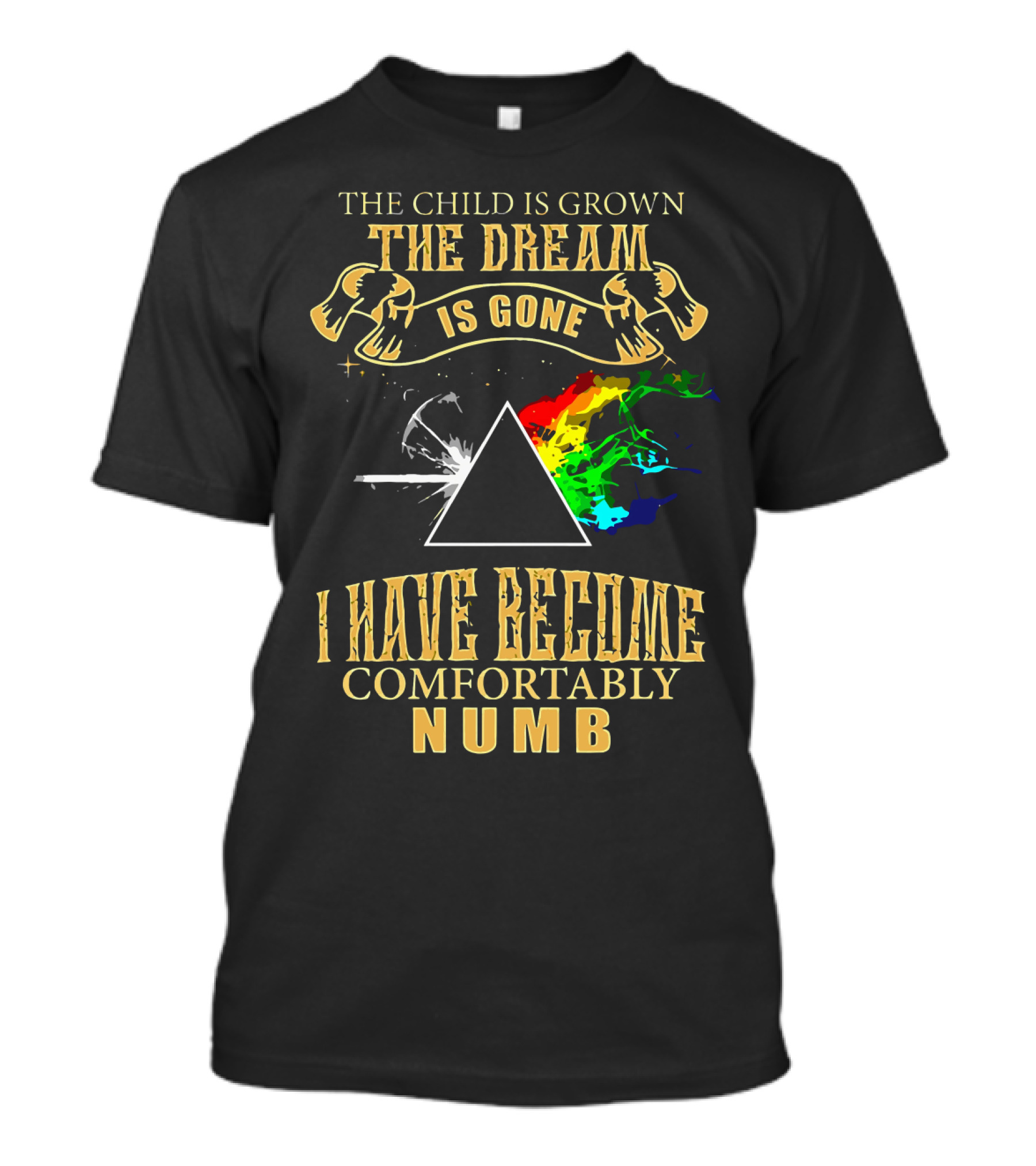 The Child Is Grown The Dream Is Gone Comfortably Numb Triangle Spectrum T-Shirt