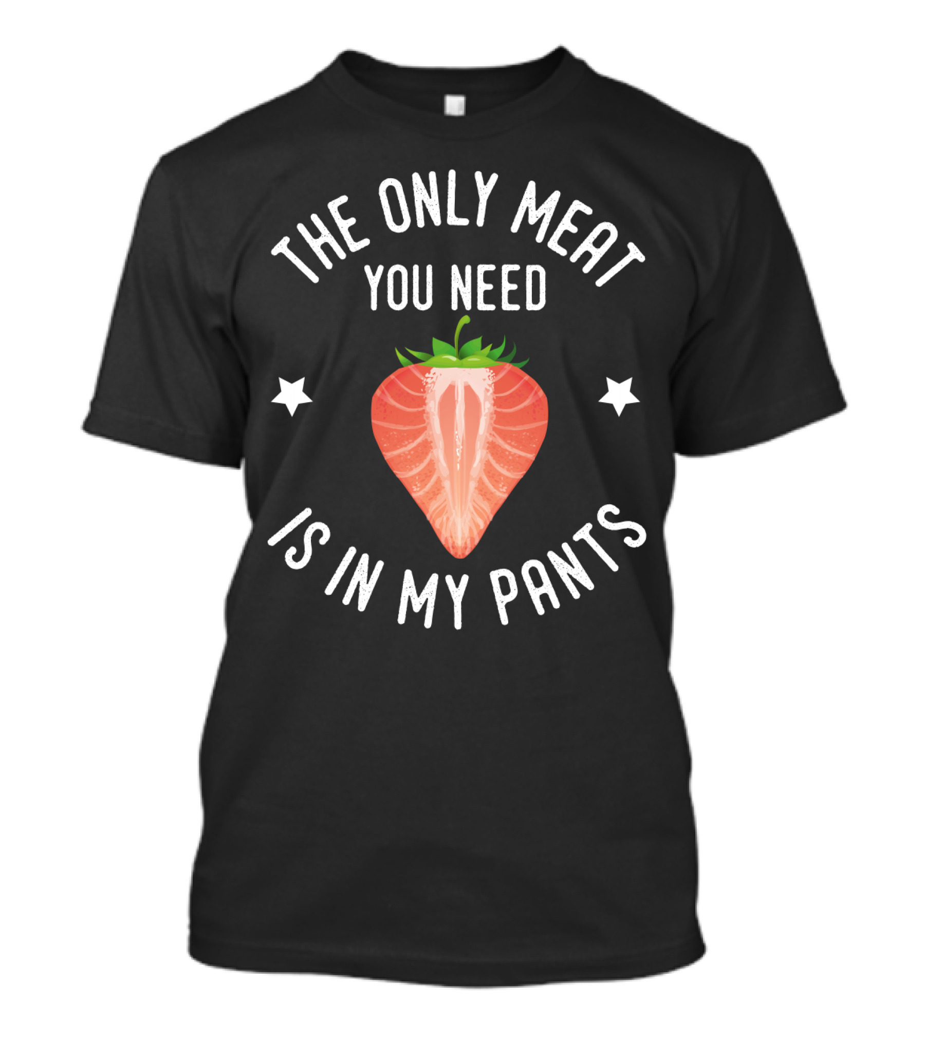 THE ONLY MEAT YOU NEED IS IN MY PANTS T-Shirt