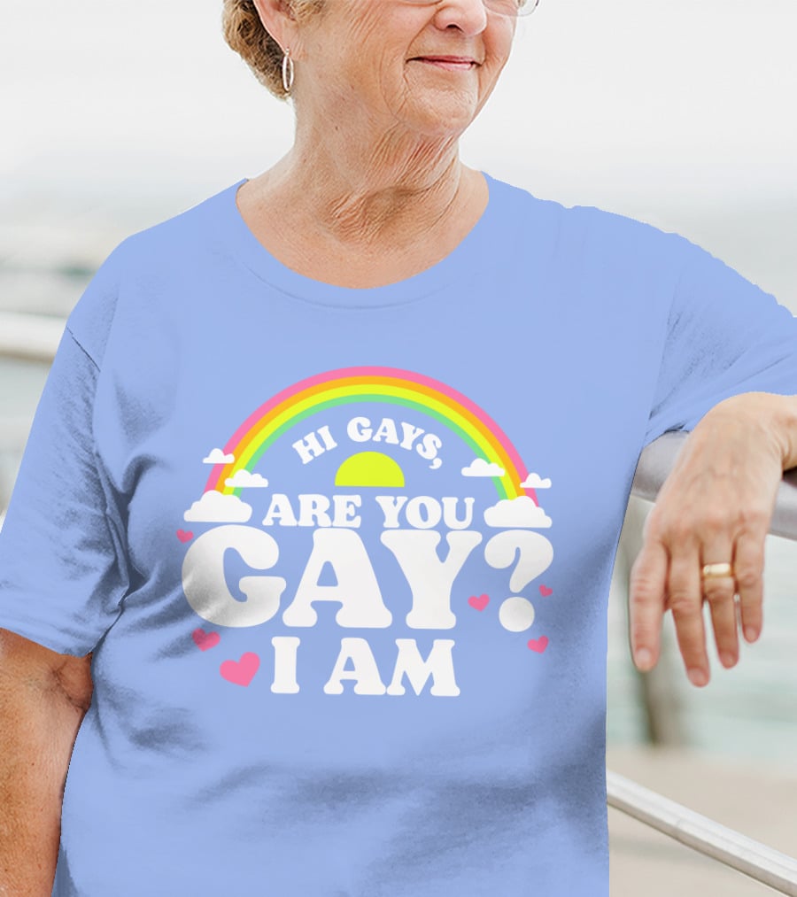 Chrissy Chlapecka Merch Hi Gays Are You Gay I Am With Rainbow And Hearts T-Shirt