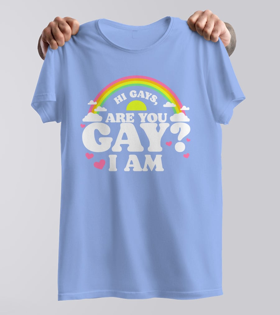 Chrissy Chlapecka Merch Hi Gays Are You Gay I Am With Rainbow And Hearts T-Shirt