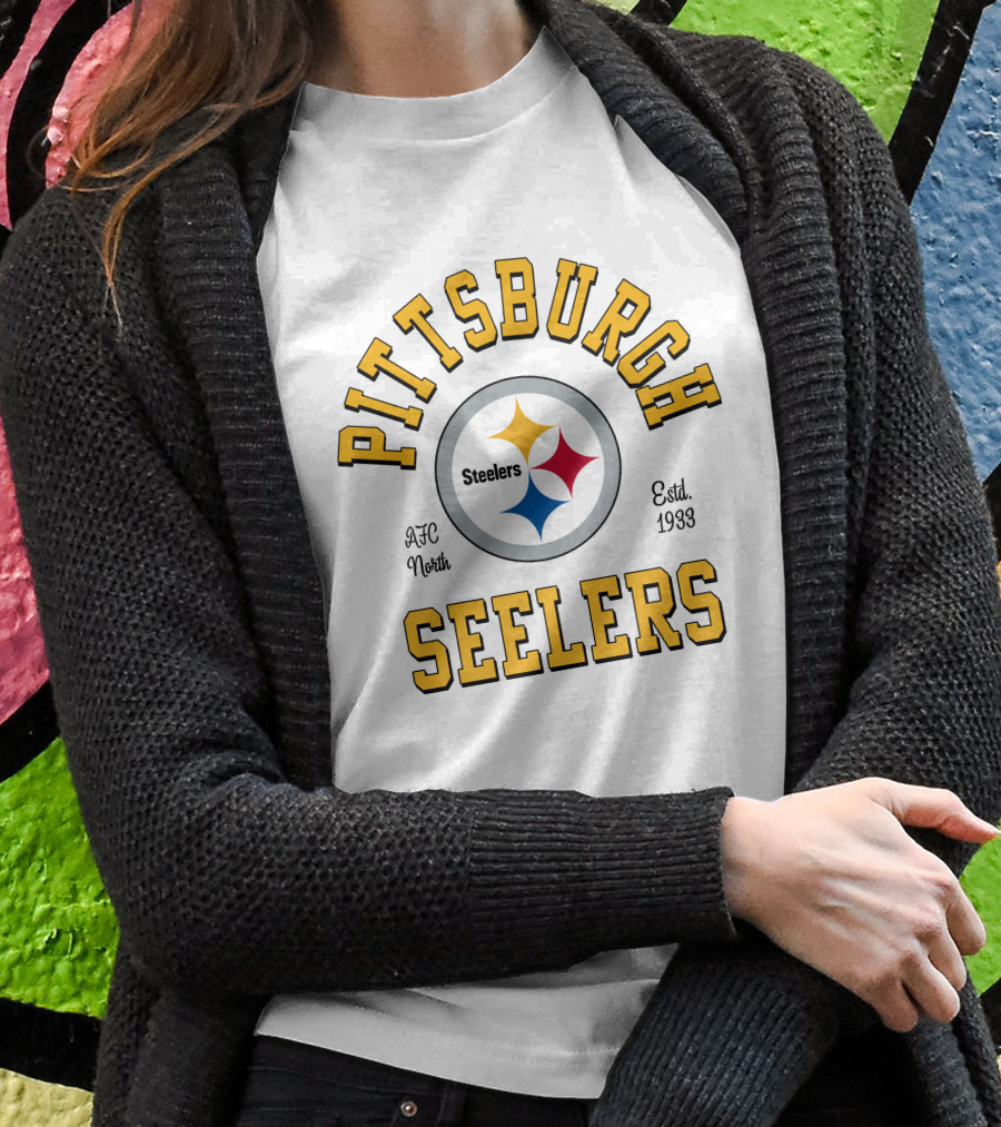 Pittsburgh Steelers AFC North Estd. 1933 T-Shirt