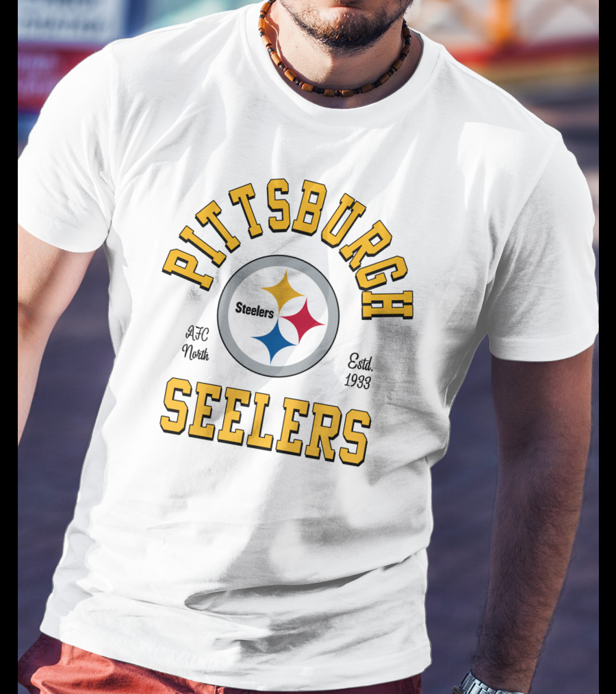 Pittsburgh Steelers AFC North Estd. 1933 T-Shirt