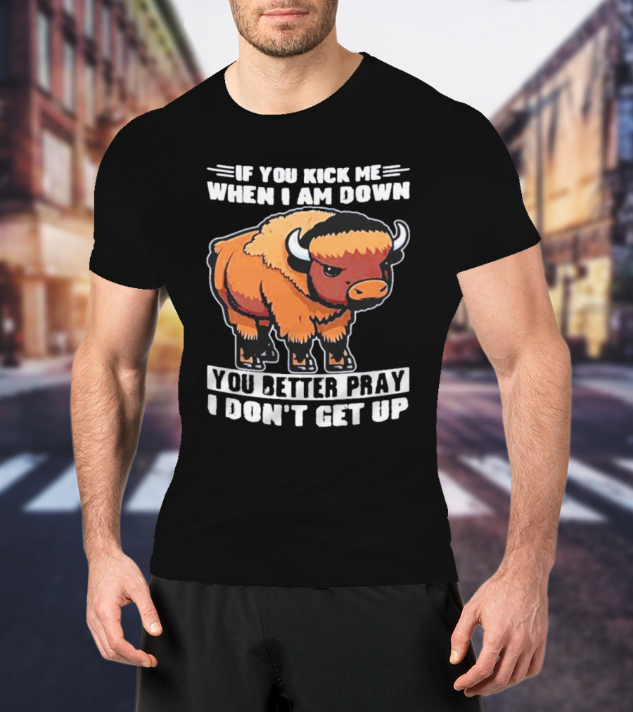 Buffalo If You Kick Me When I Am Down You Better Pray I Don’t Get Up T-Shirt