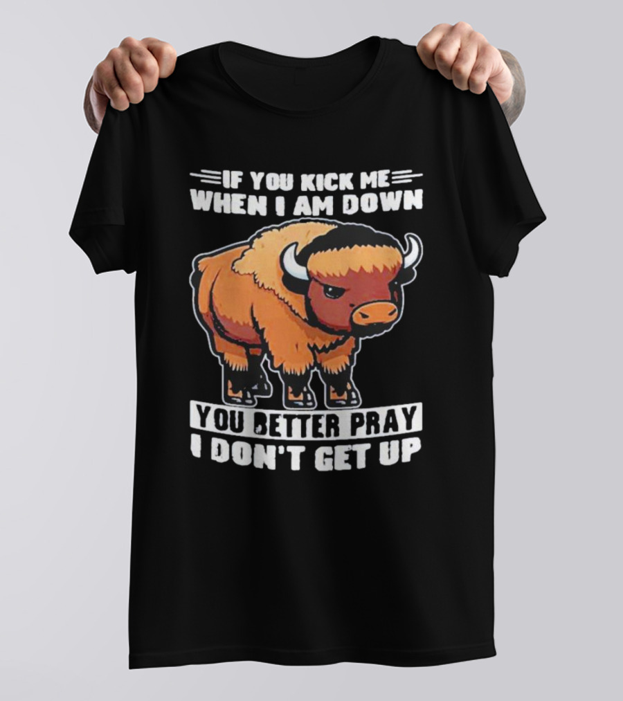 Buffalo If You Kick Me When I Am Down You Better Pray I Don’t Get Up T-Shirt