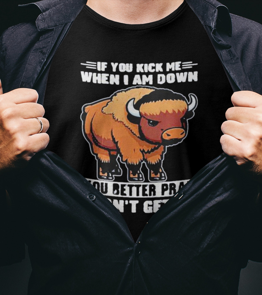 Buffalo If You Kick Me When I Am Down You Better Pray I Don’t Get Up T-Shirt