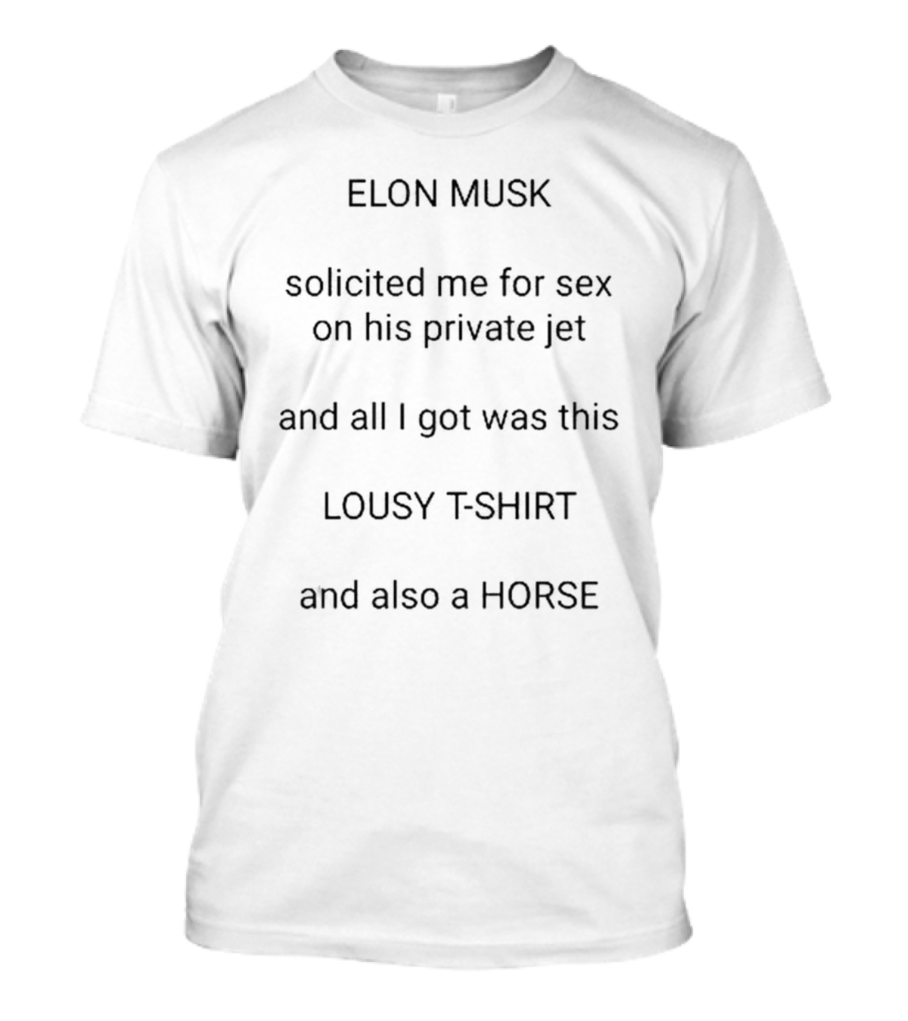 Elon Musk Solicited Me On His Private Jet Lousy T-Shirt And Also A Horse T-Shirt