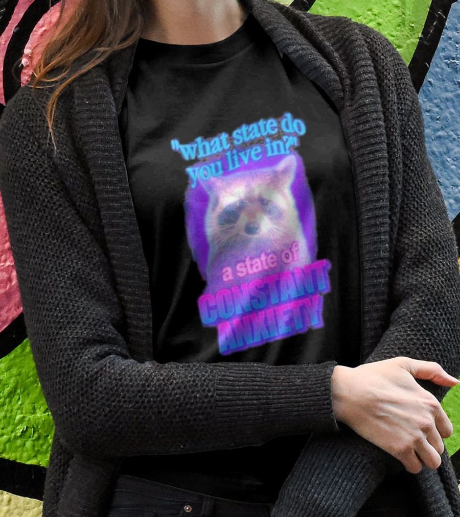Raccoon In A State Of Constant Anxiety Meme T-Shirt