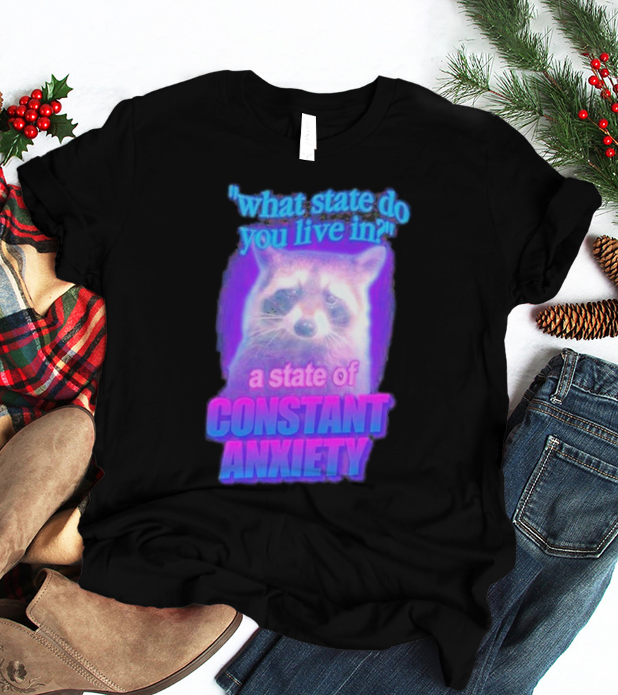 Raccoon In A State Of Constant Anxiety Meme T-Shirt