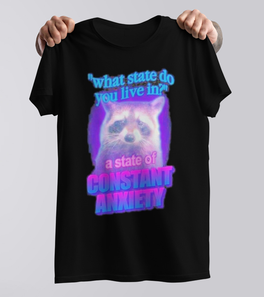 Raccoon In A State Of Constant Anxiety Meme T-Shirt