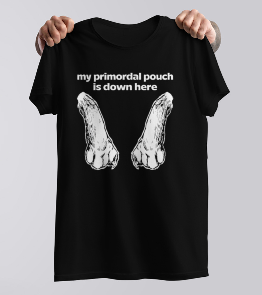 My Primordial Pouch Is Down Here Funny Cat Lover Graphic By Mango Island T-Shirt