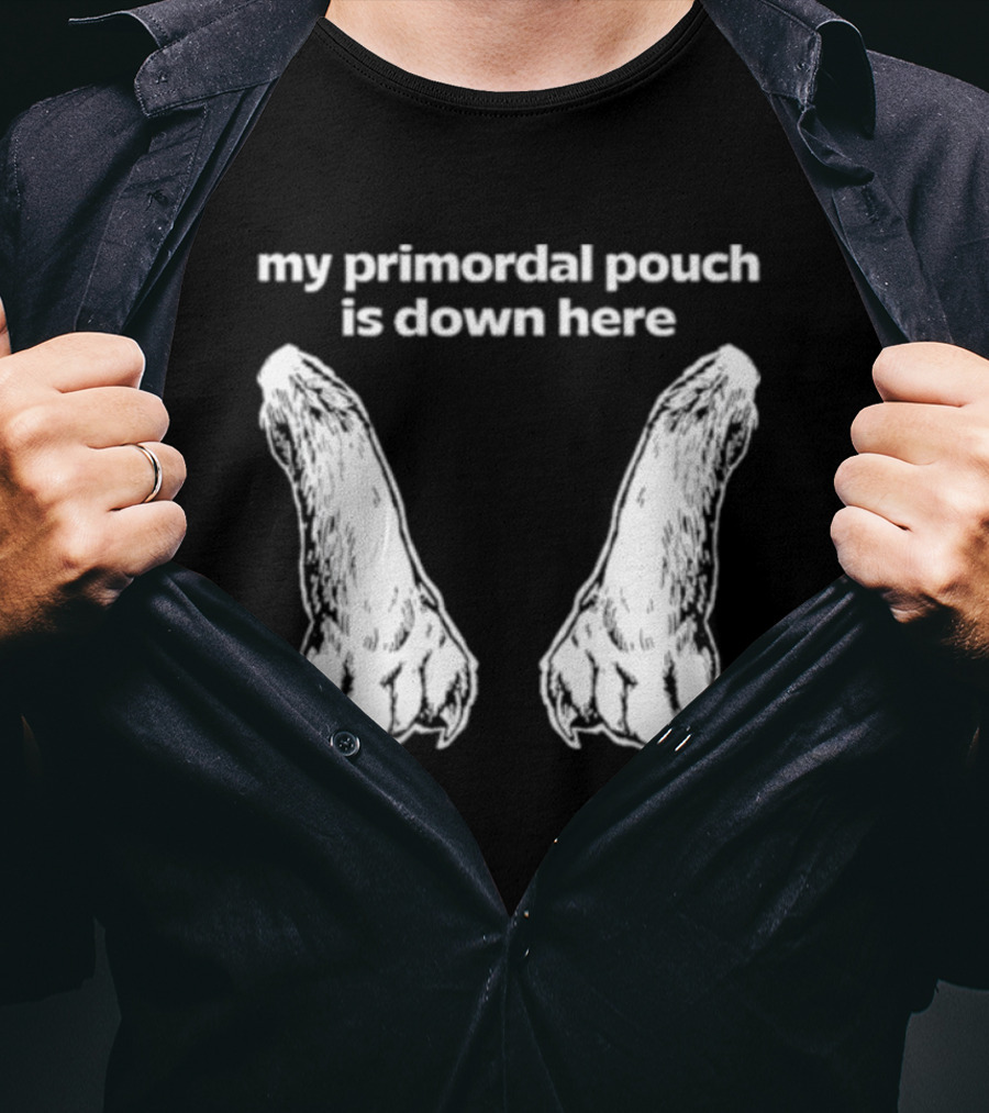 My Primordial Pouch Is Down Here Funny Cat Lover Graphic By Mango Island T-Shirt