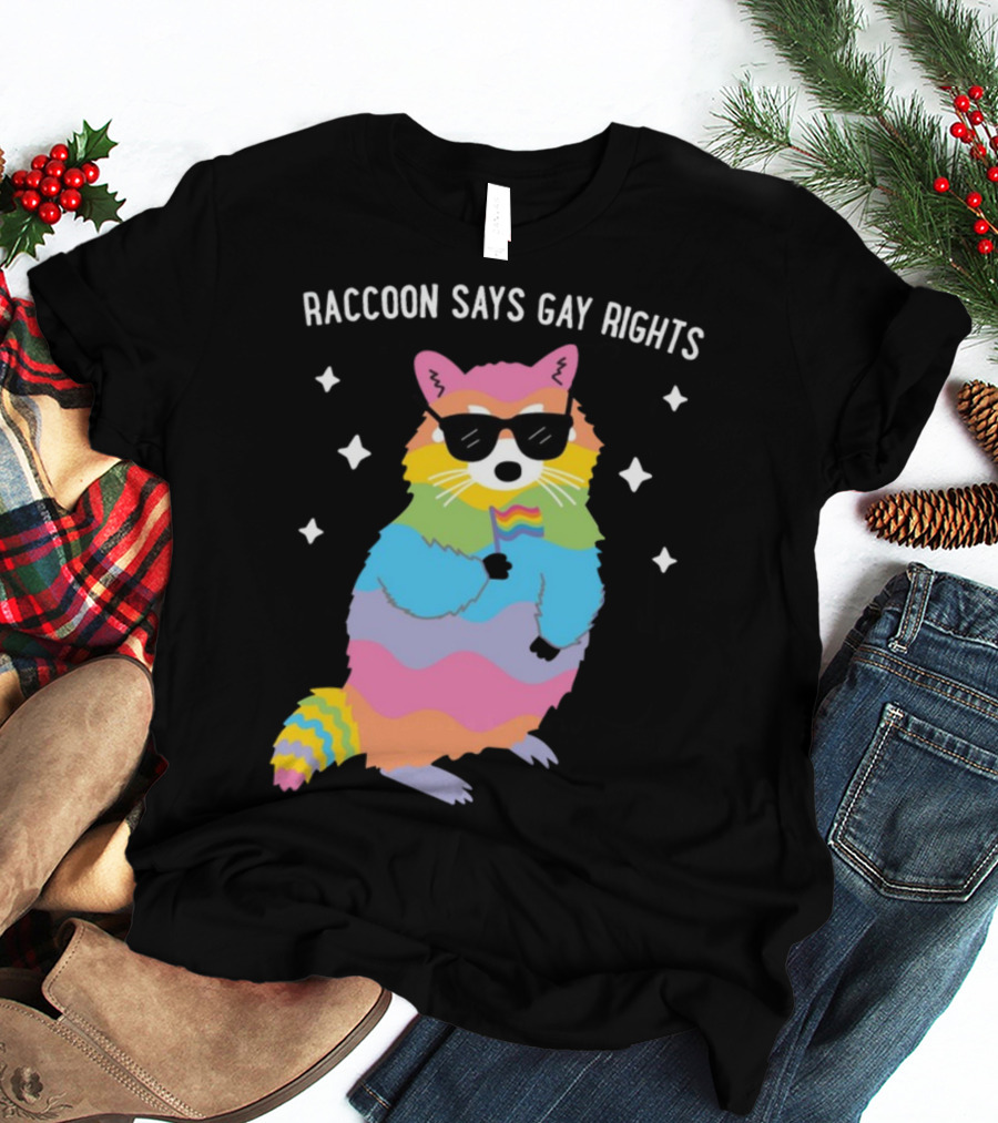 Raccoon Says Gay Rights Pride Rainbow Sunglasses Flag T-Shirt