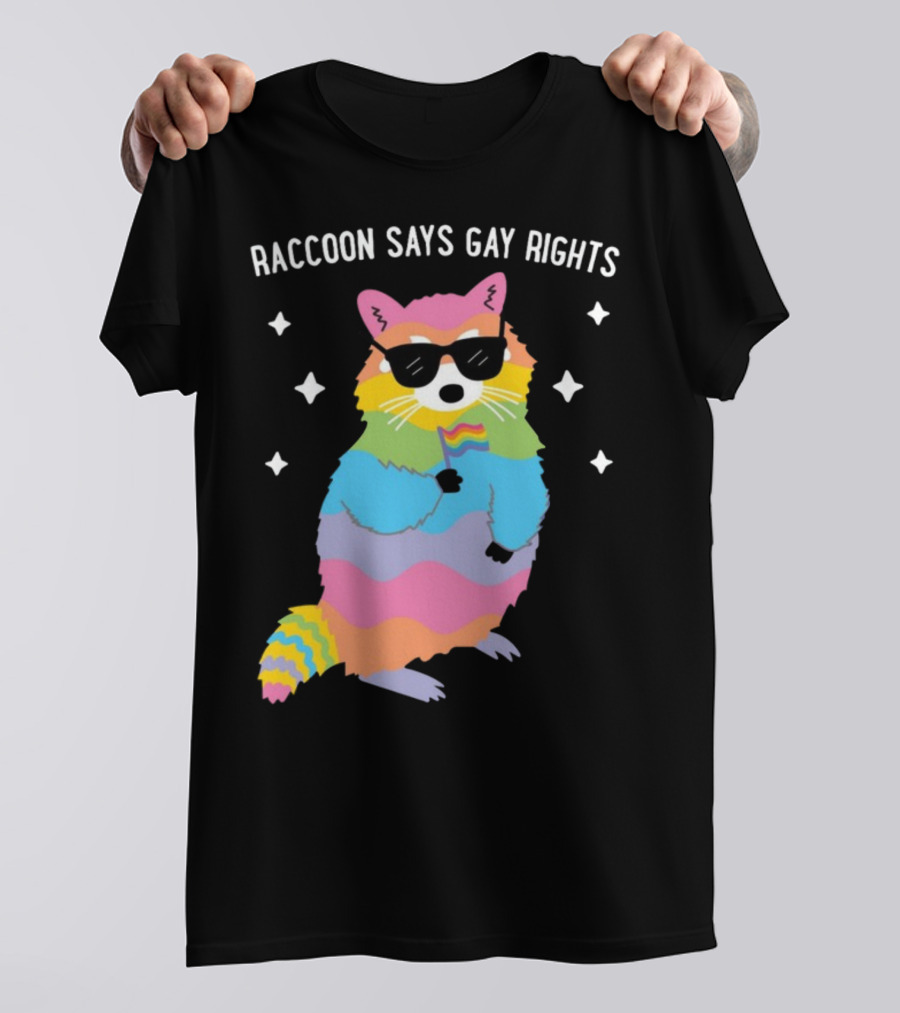 Raccoon Says Gay Rights Pride Rainbow Sunglasses Flag T-Shirt