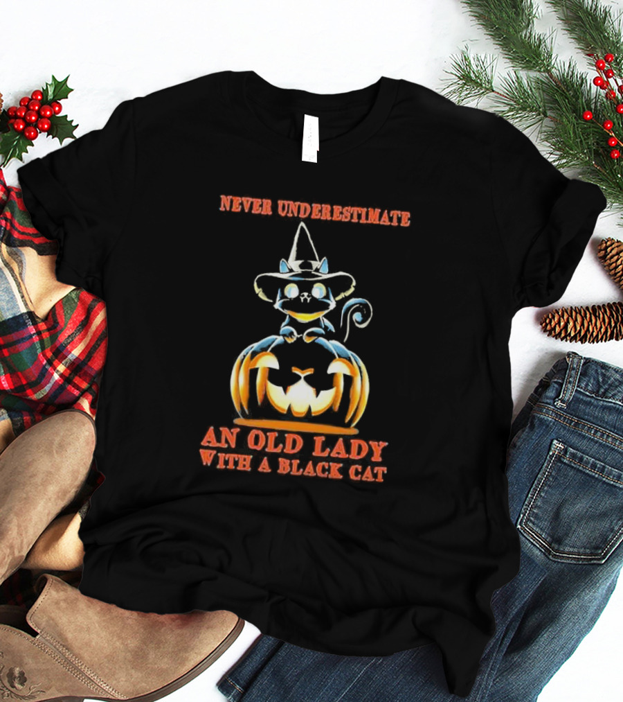 Never Underestimate An Old Lady With A Black Cat Halloween Pumpkin Witch Hat T-Shirt