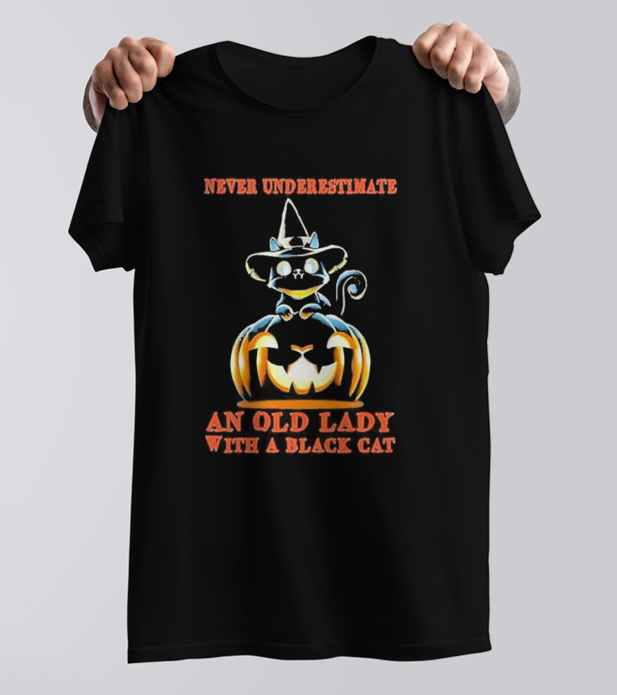 Never Underestimate An Old Lady With A Black Cat Halloween Pumpkin Witch Hat T-Shirt