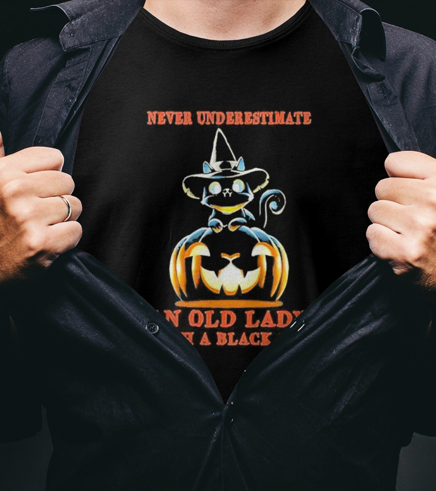 Never Underestimate An Old Lady With A Black Cat Halloween Pumpkin Witch Hat T-Shirt