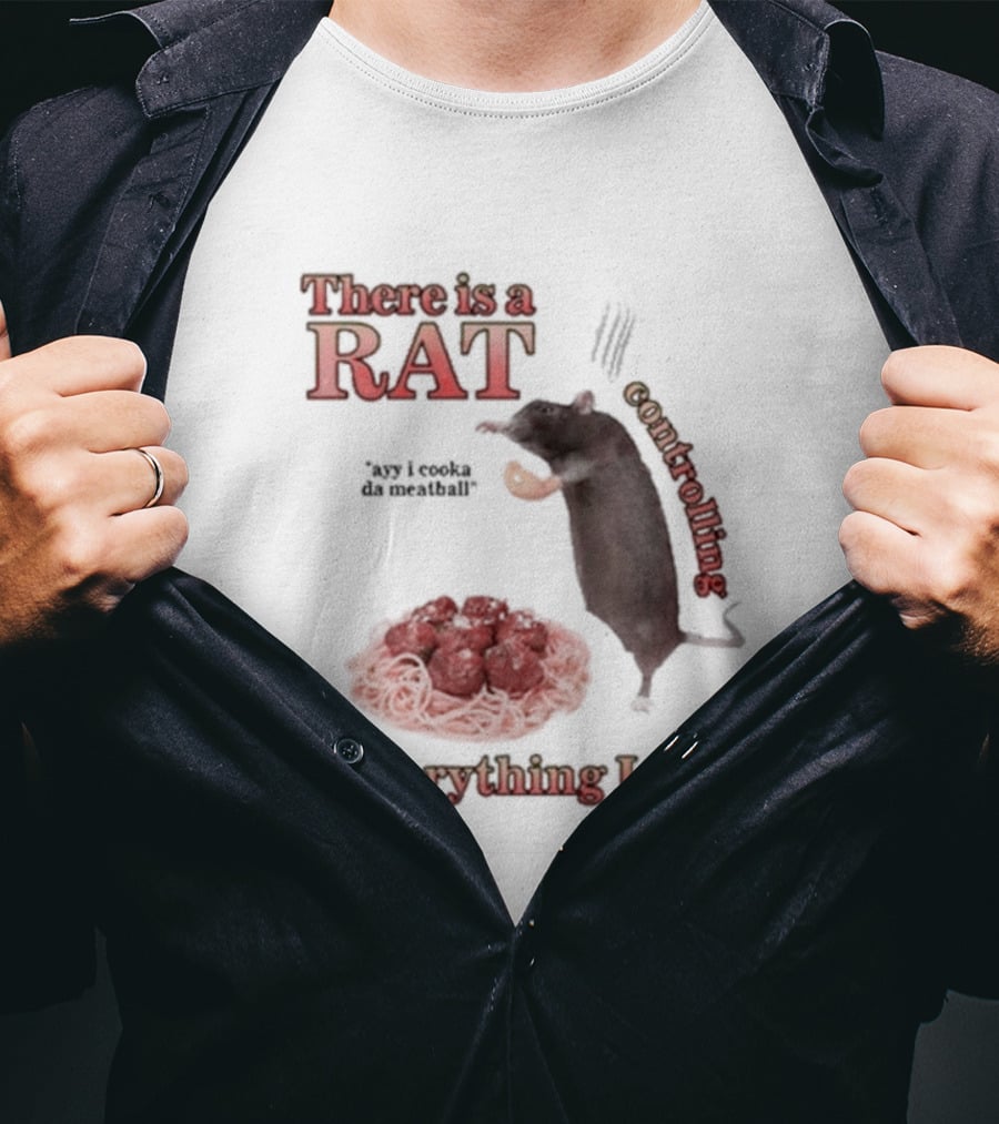 There Is A Rat Controlling Everything I Do Ayy I Cooka Da Meatball T-Shirt