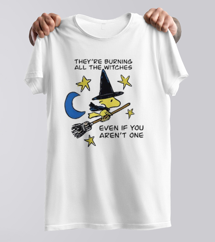 They’re Burning All The Witches Even If You Aren’t One Woodstock Wizard Stars Moon Broomstick T-Shirt