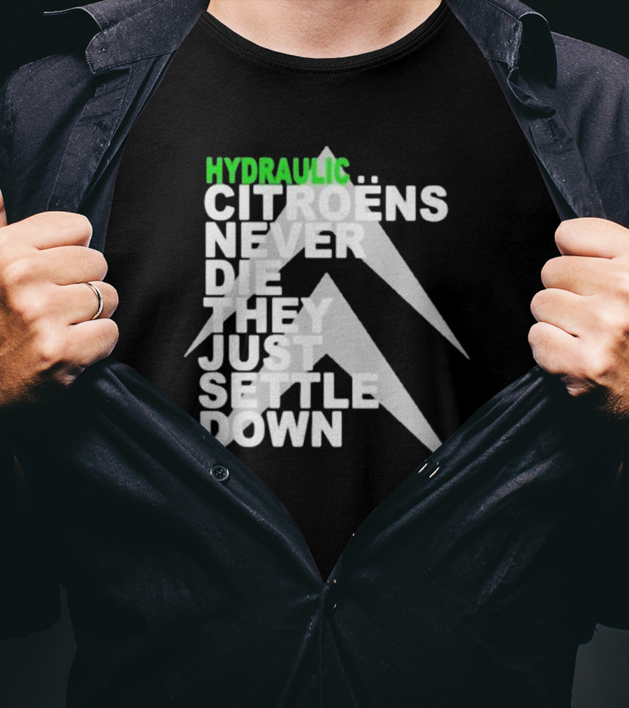 Hydraulic Citroens Never Die They Just Settle Down Chevrons T-Shirt