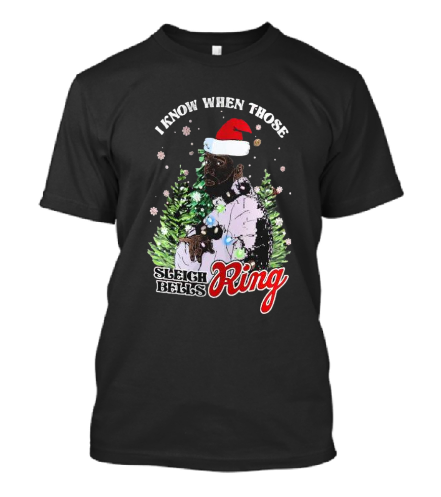 I Know When Those Sleigh Bells Ring Happy Holiday Merry Christmas Drake T-Shirt
