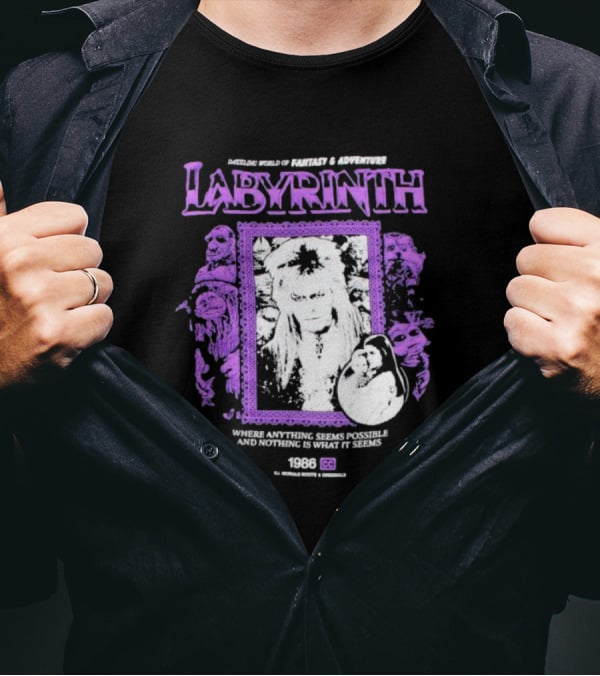 Dazzling World Of Fantasy And Adventure Labyrinth 1986 Where Anything Seems Possible And Nothing Is What It Seems T-Shirt
