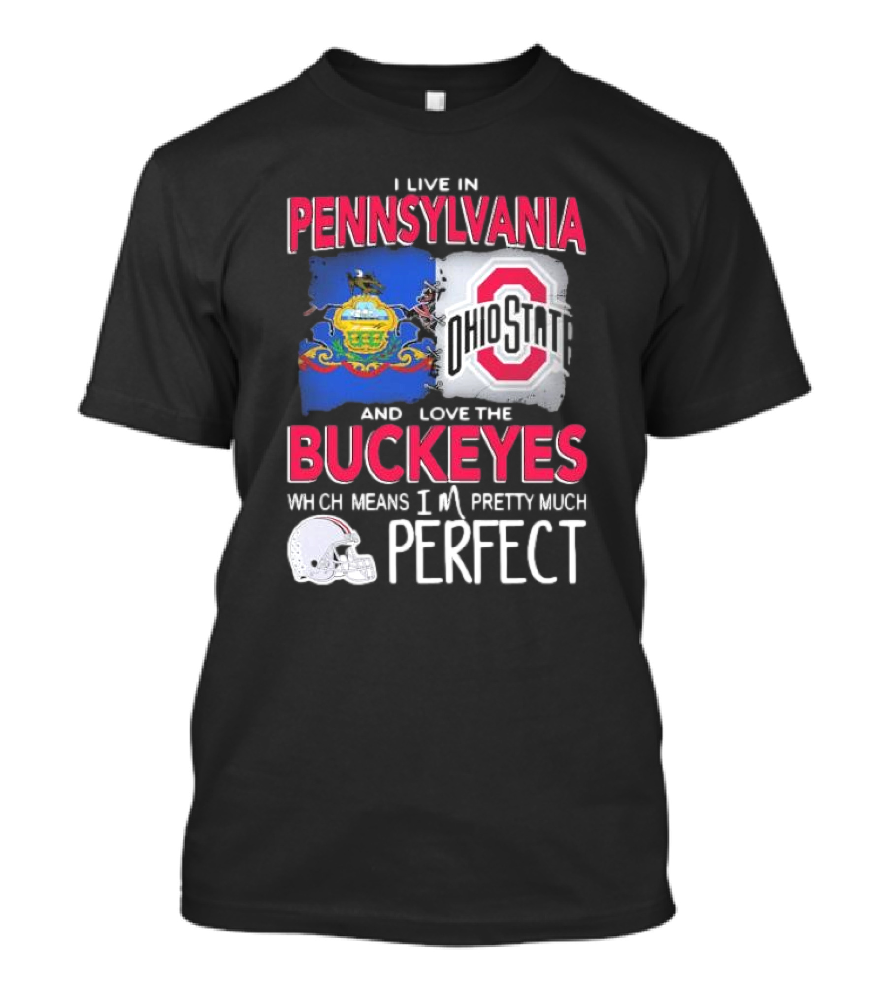 I Live In Pennsylvania Love The Ohio State Buckeyes Pretty Much Perfect T-Shirt
