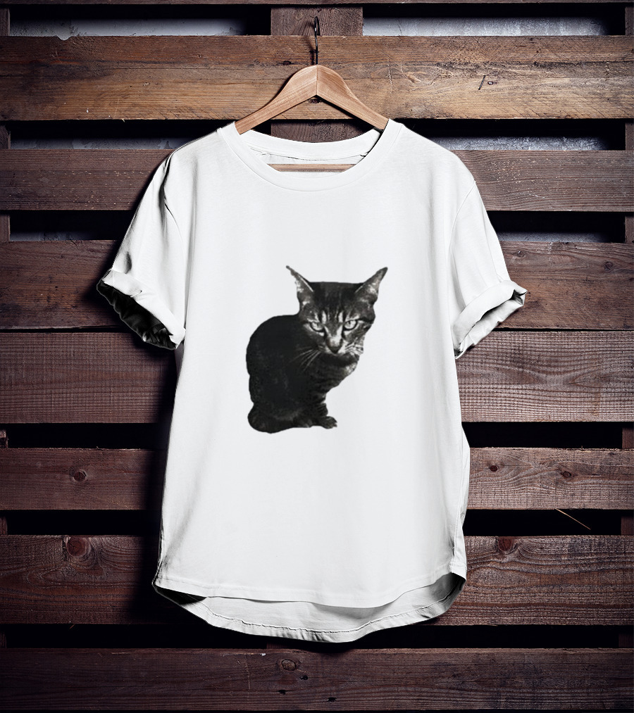 Smileymaya15 How Long Have I Been Here Kitten Cat Black Gray Tabby T-Shirt