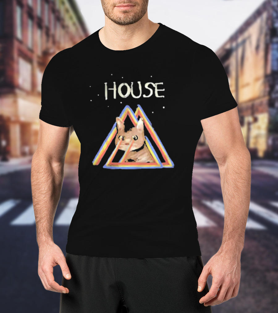 House Rainbow Triangle Cat T-Shirt