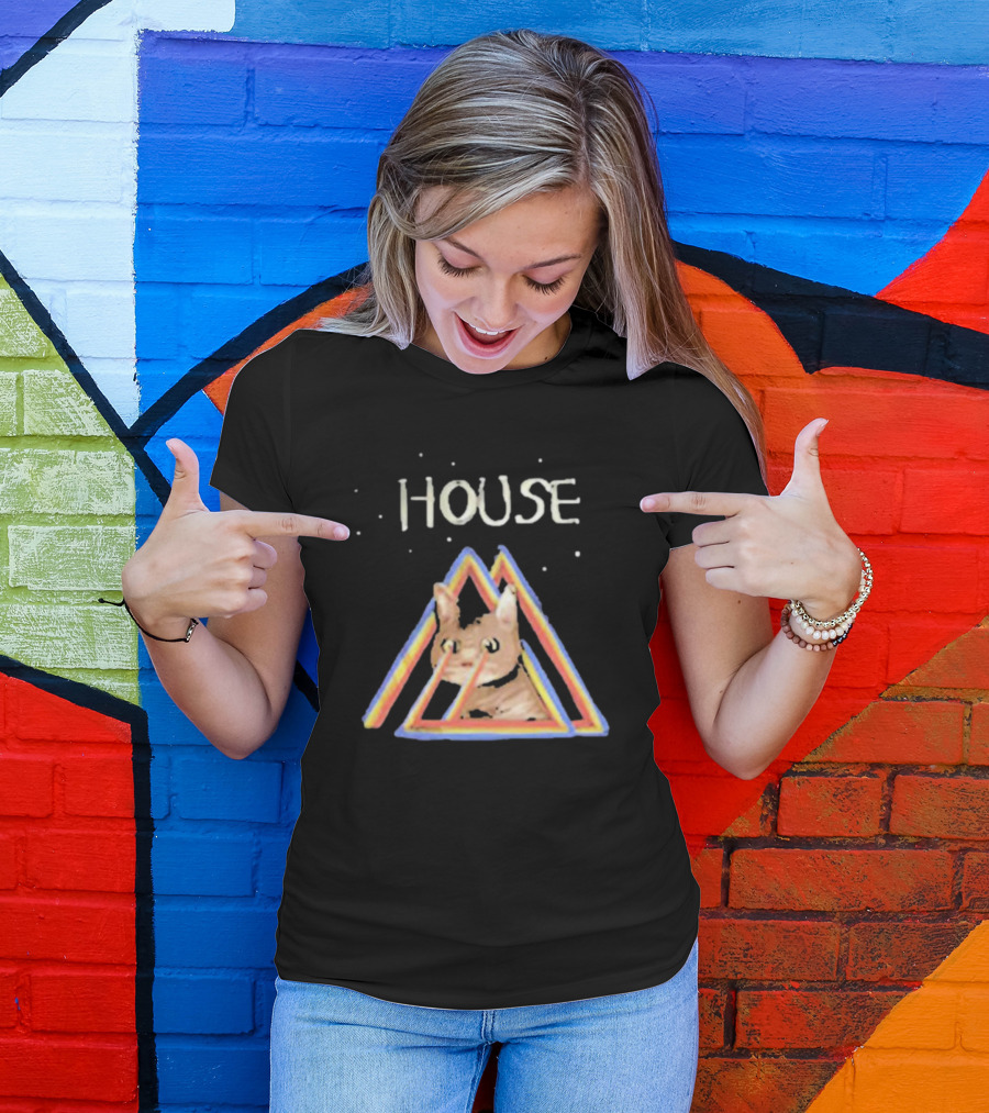 House Rainbow Triangle Cat T-Shirt
