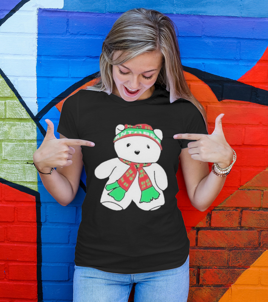 Santa Bear Minnesota Christmas Scarf And Hat Bundle T-Shirt
